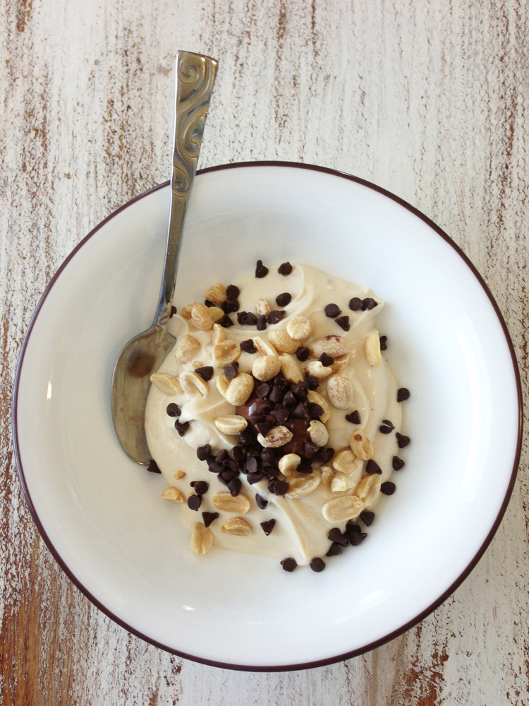 Peanut Butter Chocolate Chip Yogurt
