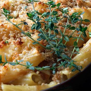 Caramelized Onion Pasta Gratin