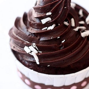 Bittersweet Chocolate and Cardamom Cupcakes