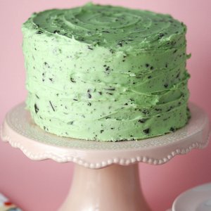 Mint Chocolate Chip Cake
