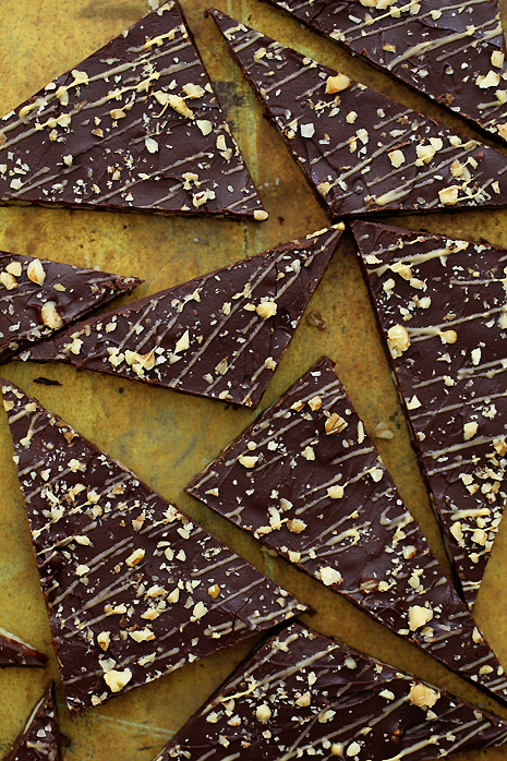 Turtle Bark