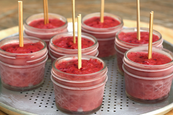 Cranberry Orange Rhubarb Popsicles