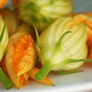 Deep Fried Stuffed Squash Blossoms
